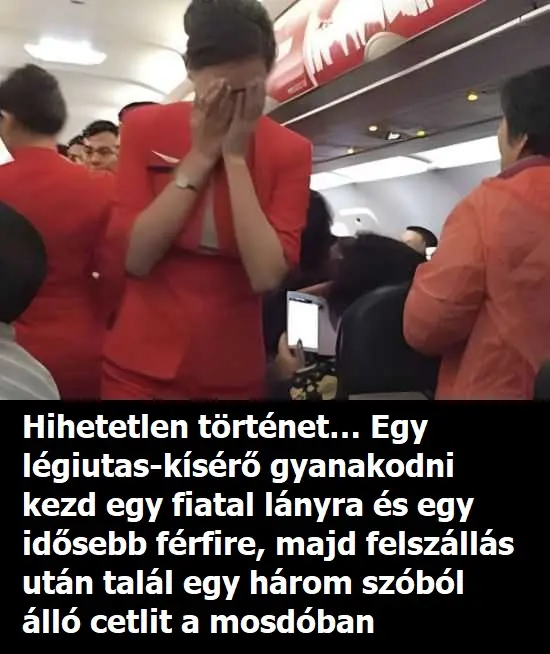 cetliamosdobandf 768x520 1 768x400