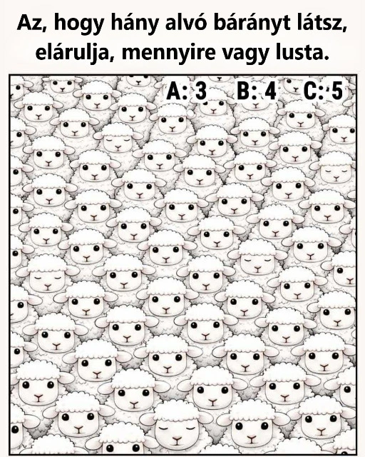 alvo baranyok 25a6f84d46