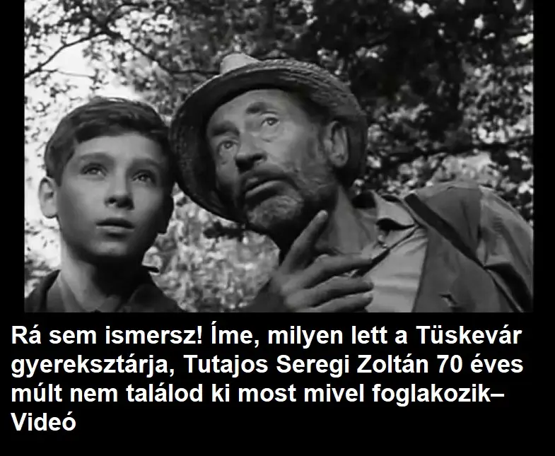 seregizoltanb3ce70dffea3b376eb03b