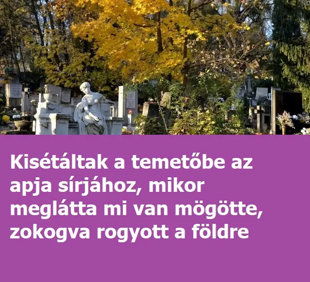 farkasretbt324324242424242i