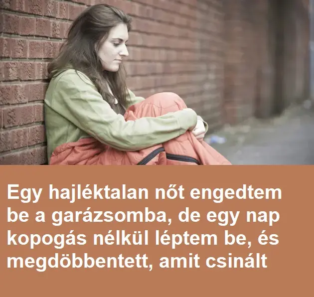 hajlektalanno3254345345on