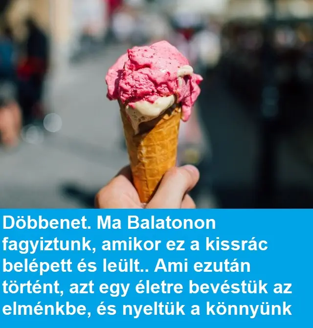 kissrac 3828836161590801451 n