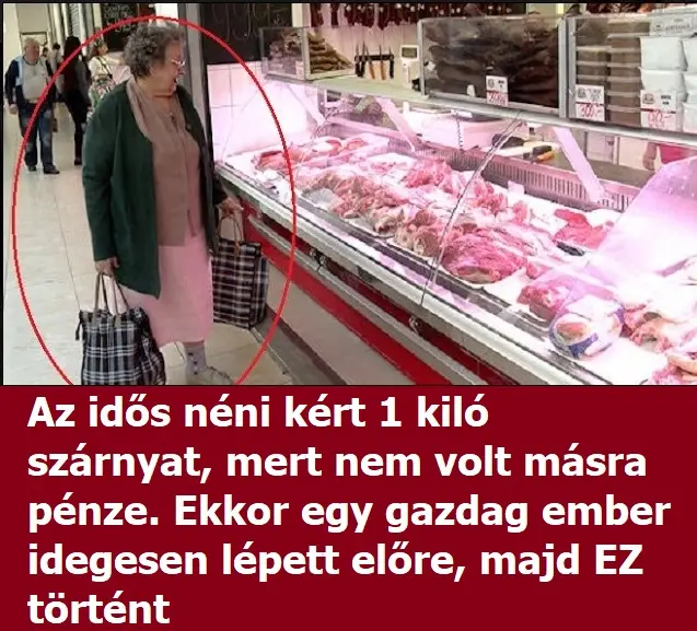 neniboltbanvasalo42423424n