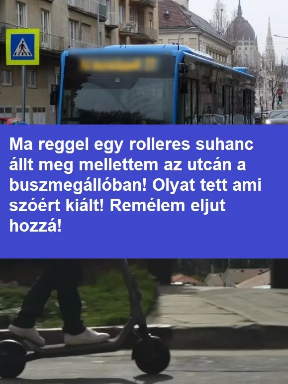rollersuhanc3242424