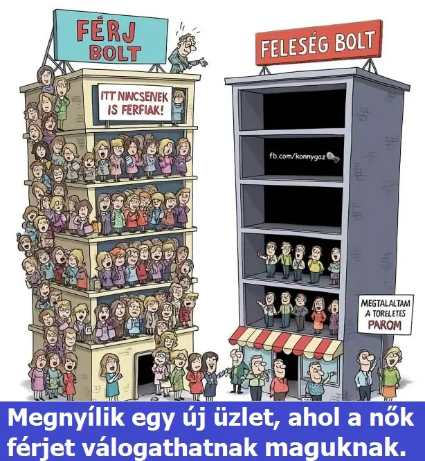 ferjboltfelesegbolt201 n