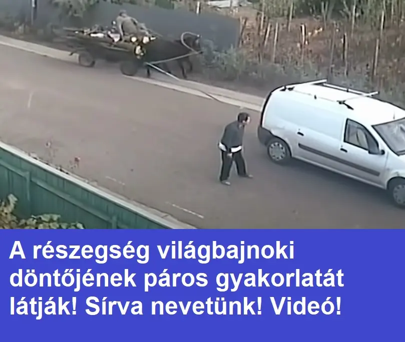 A részegség világbajnoki döntőjének páros gyakorlatát látják! Sírva nevetünk! Videó!